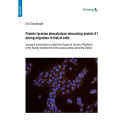 Protein tyrosine phosphatase interacting protein 51 during migration in HaCat cells - Eva Schubkegel, Kartoniert (TB)
