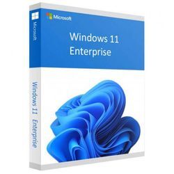 Windows 11 Enterprise 64 bit - Microsoft Lizenz