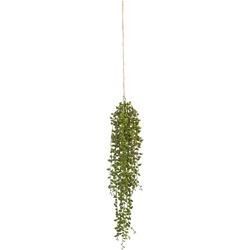 Kunstpflanze Senecio in Grün ca. 88cm