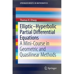 Elliptic-Hyperbolic Partial Differential Equations - Thomas H. Otway, Kartoniert (TB)