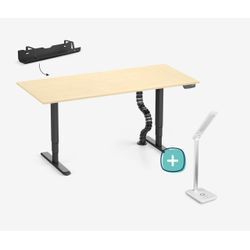 Höhenverstellbarer Schreibtisch PRIMUS + Kabelwanne, Kabelschlange & Schreibtischleuchte - 160x80 - Schwarz / Birke - 7 Jahre Garantie
