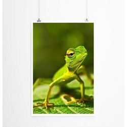 Sinus Art Poster Tierfotografie  Grüne Eidechse aus Sri Lanka 60x90cm Poster