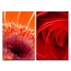 Sinus Art Leinwandbild 2 Bilder je 60x90cm Rose Blumen Blüten Liebe Rot Leidenschaft Sinnlich